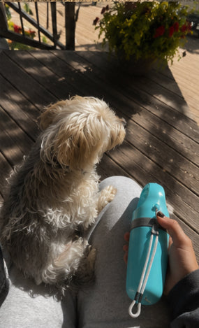 CleanScooper™ Portable Dog Pooper Scooper with Built-In Bag Dispenser